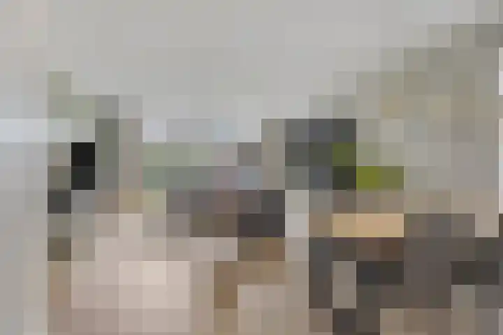 Lemoenappel 4 Lith thumbnail 8