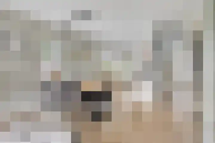 Lemoenappel 4 Lith thumbnail 9