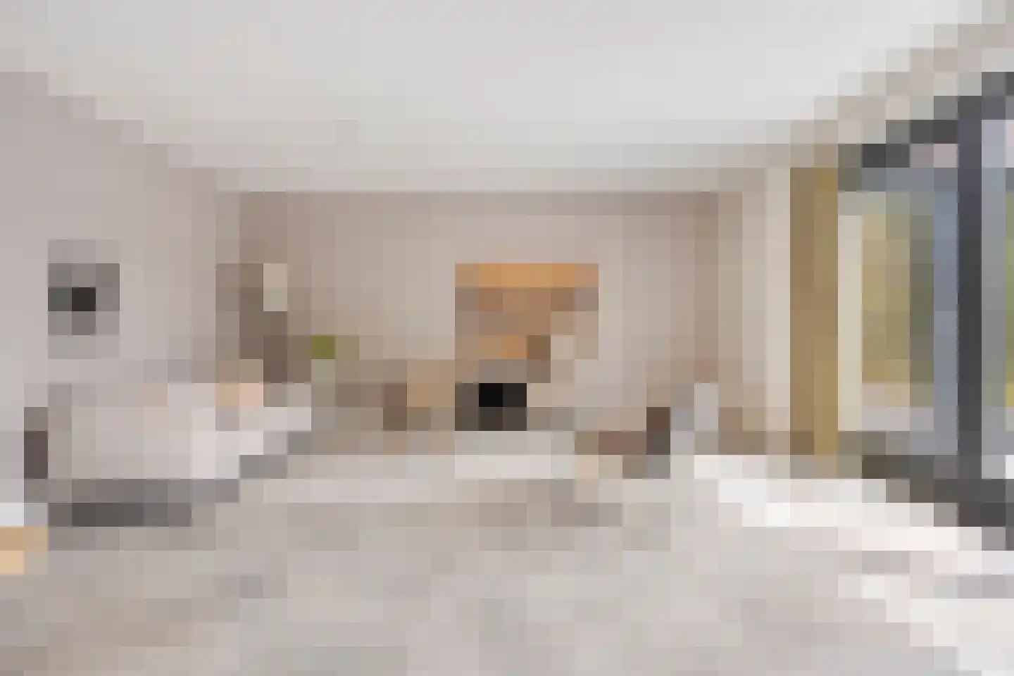 Lemoenappel 7 Lith thumbnail 18
