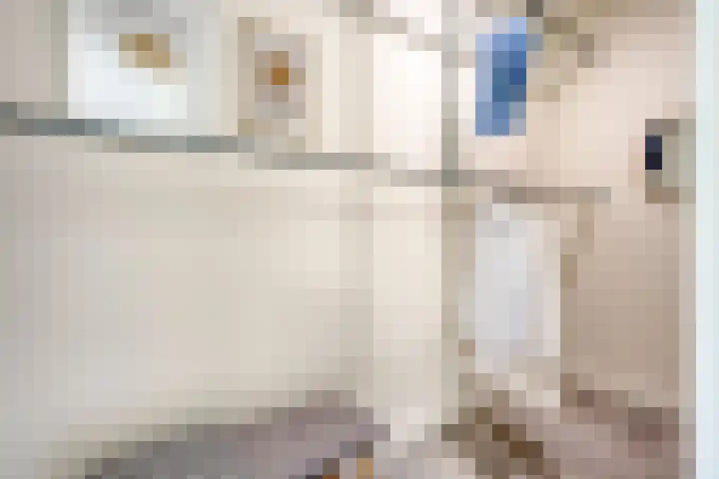 Lemoenappel 7 Lith thumbnail 27