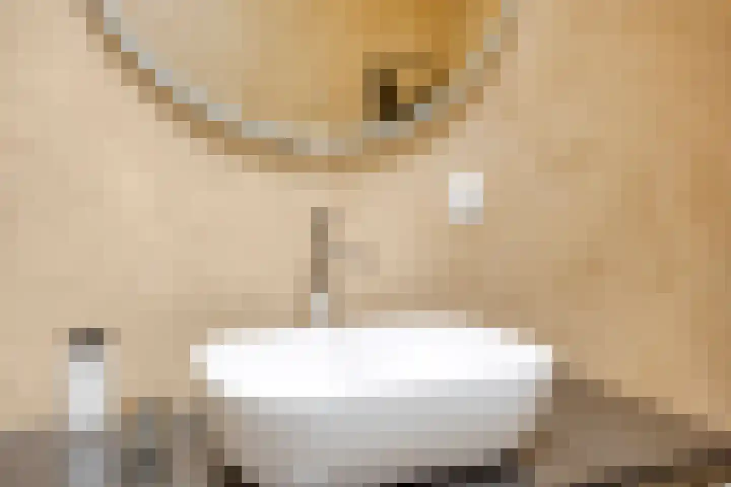 Lemoenappel 7 Lith thumbnail 29