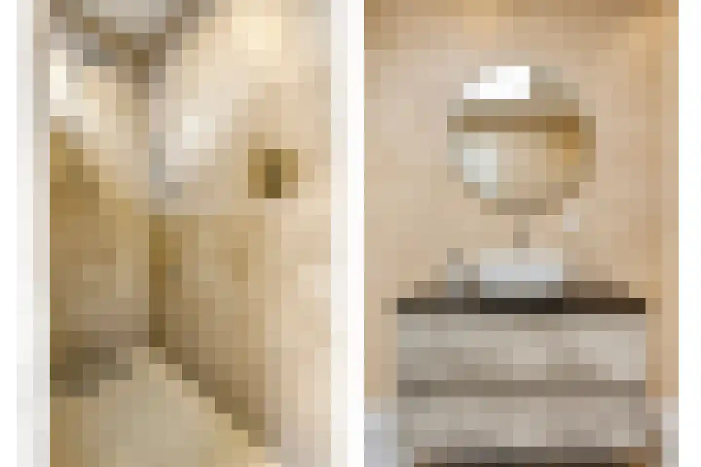 Lemoenappel 7 Lith thumbnail 30