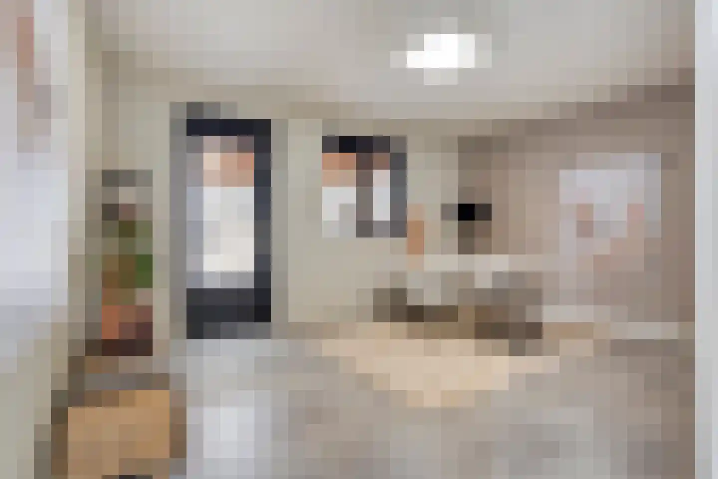 Lemoenappel 7 Lith thumbnail 32