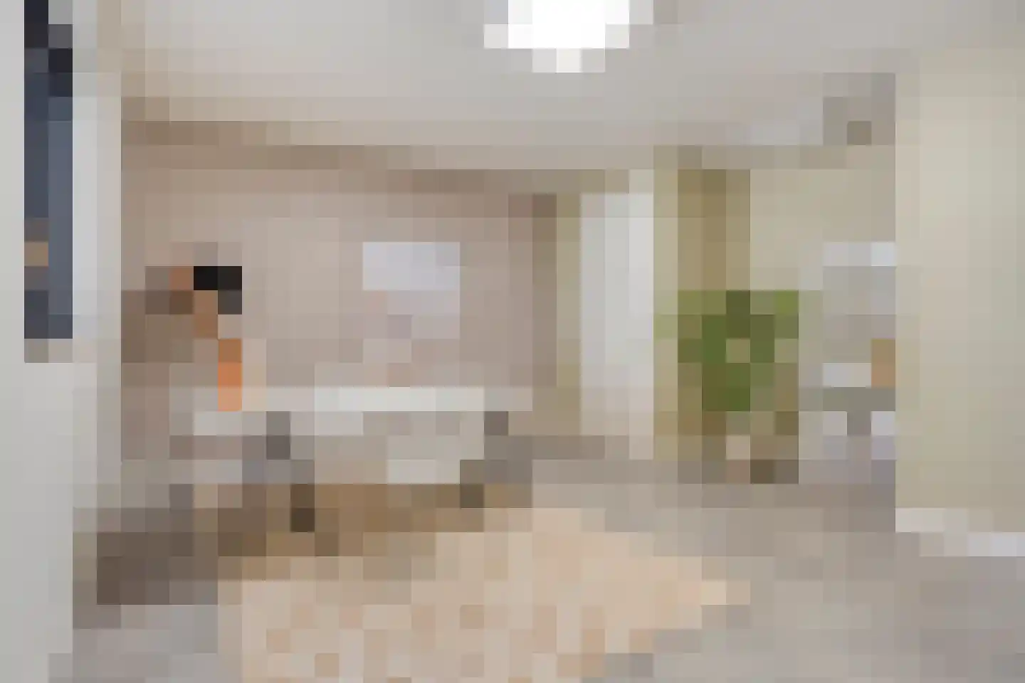 Lemoenappel 7 Lith thumbnail 33