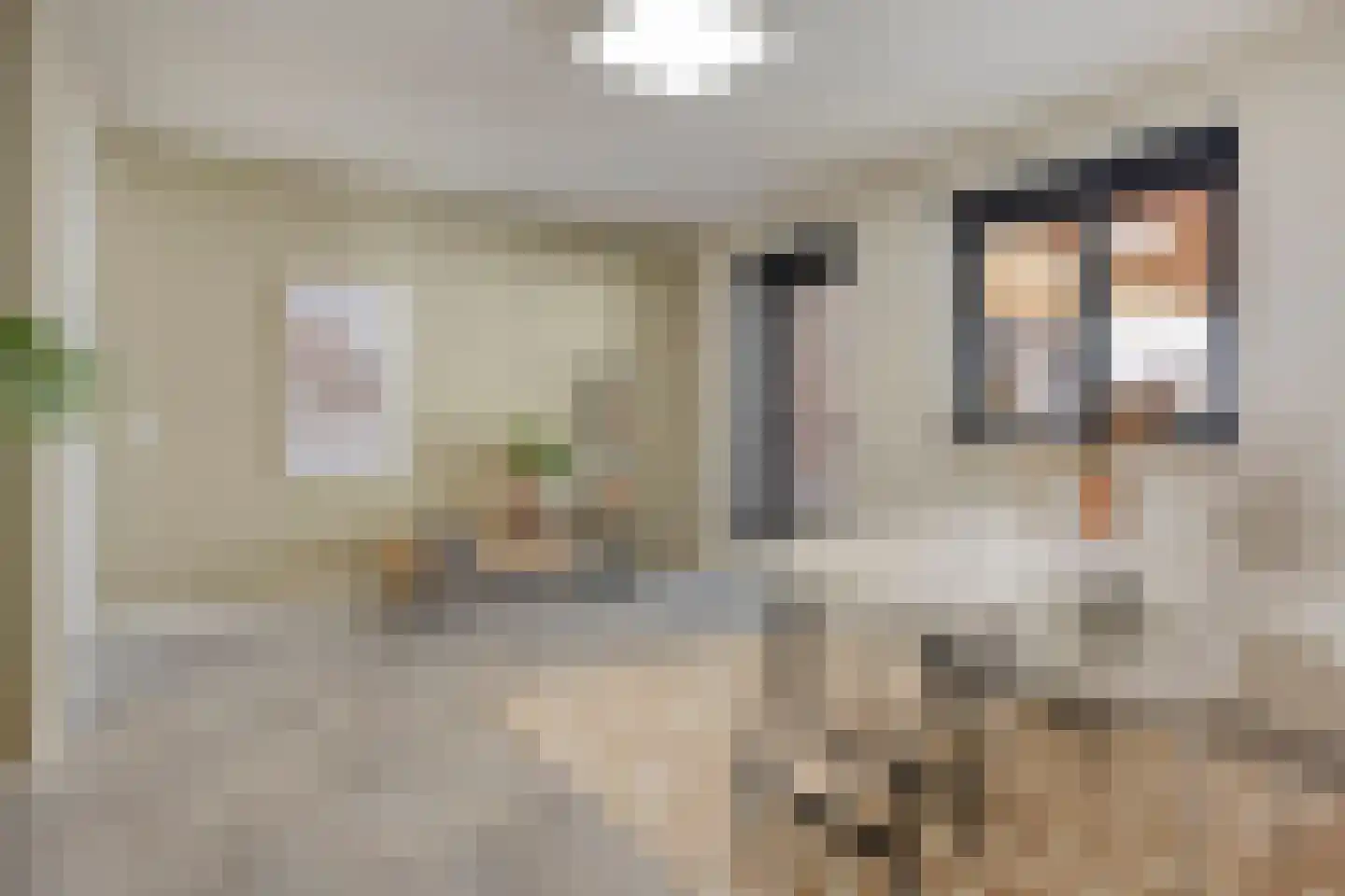 Lemoenappel 7 Lith thumbnail 34