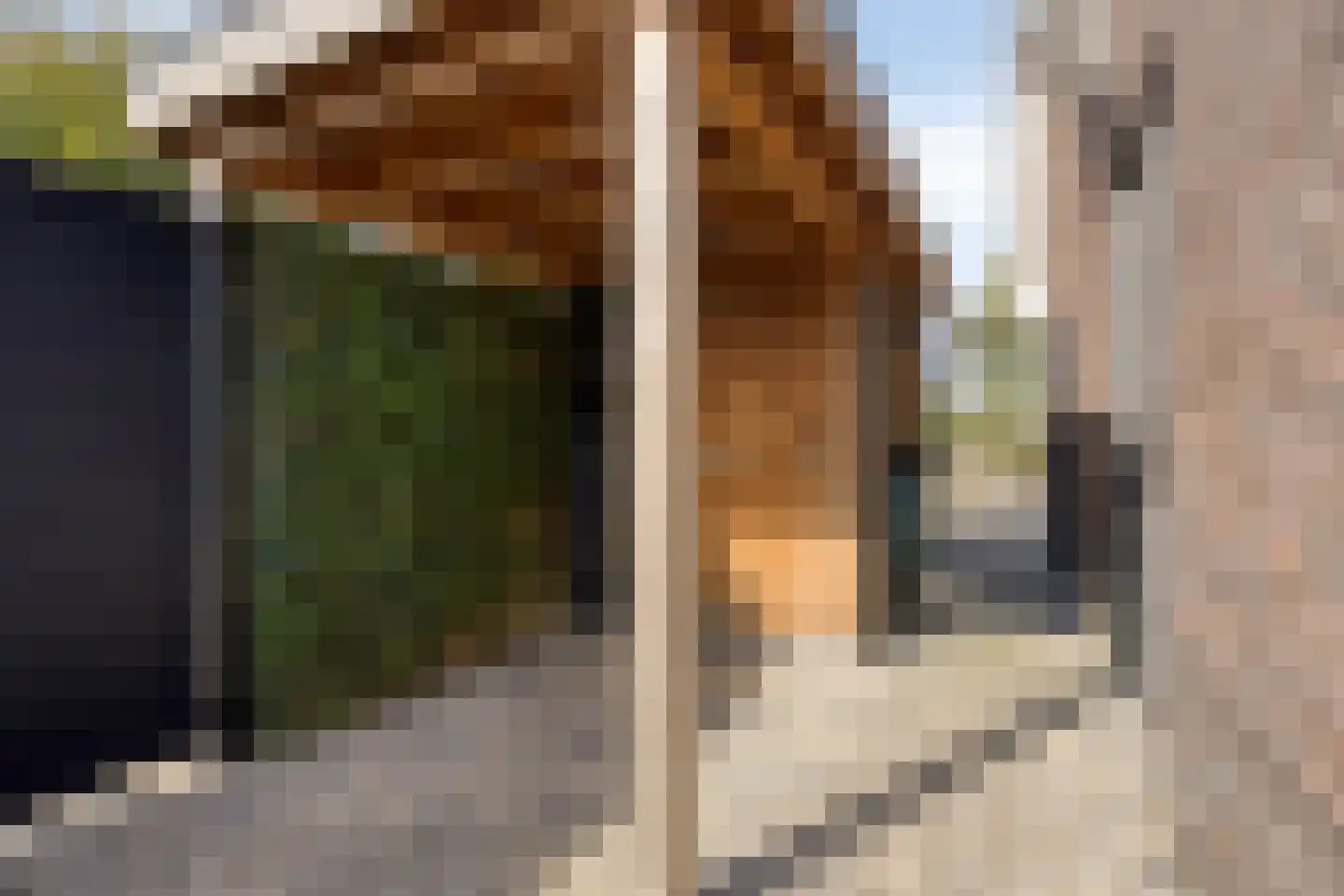 Lemoenappel 7 Lith thumbnail 37