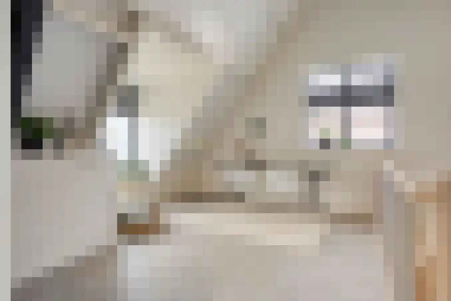 Lemoenappel 7 Lith thumbnail 42