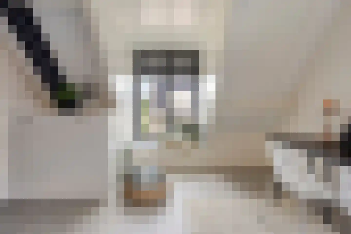 Lemoenappel 7 Lith thumbnail 43
