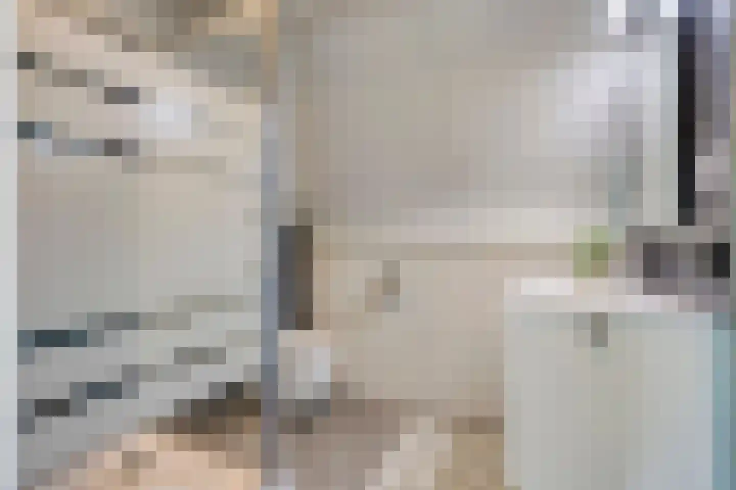 Lemoenappel 7 Lith thumbnail 47