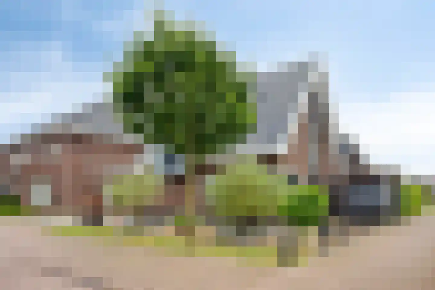Lemoenappel 7 Lith thumbnail 49