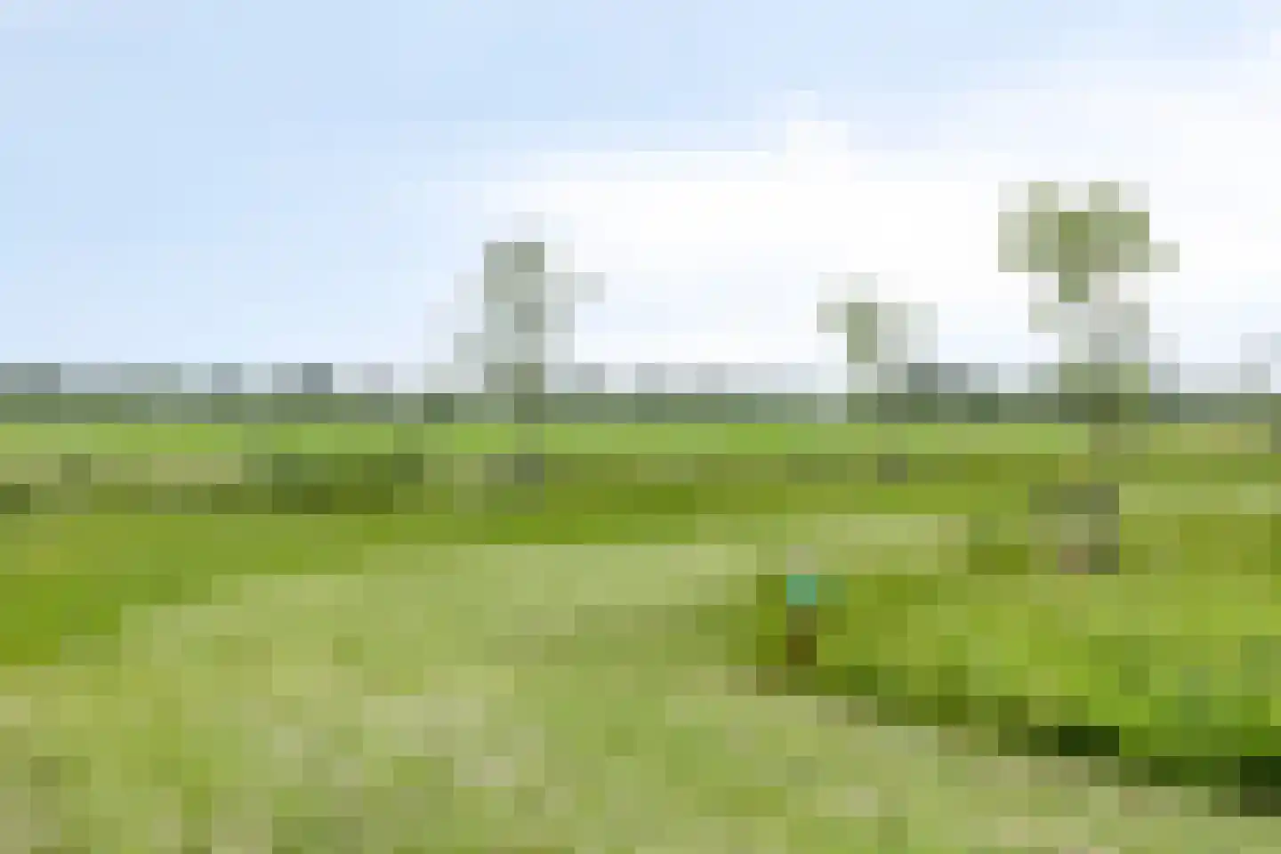Lemoenappel 7 Lith thumbnail 50