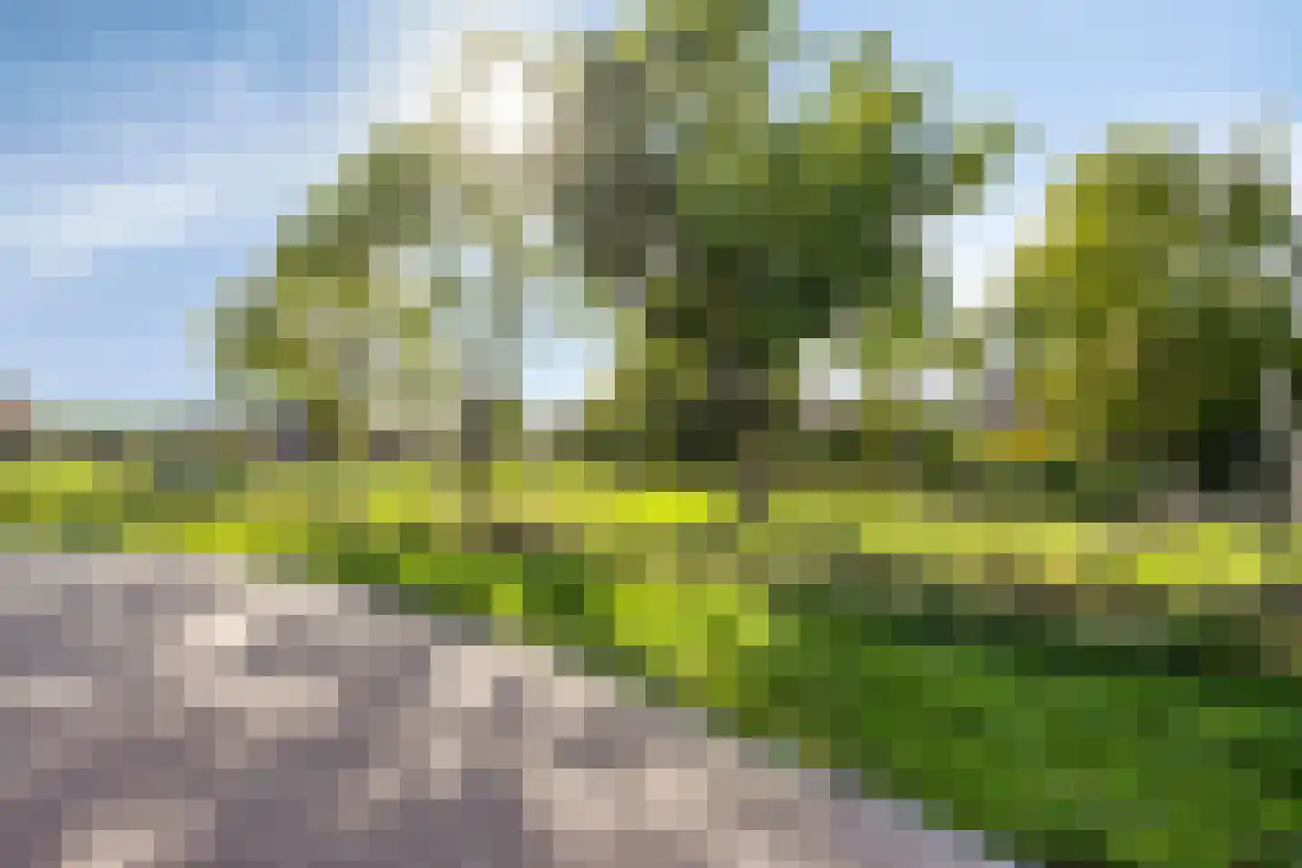 Lemoenappel 7 Lith thumbnail 51