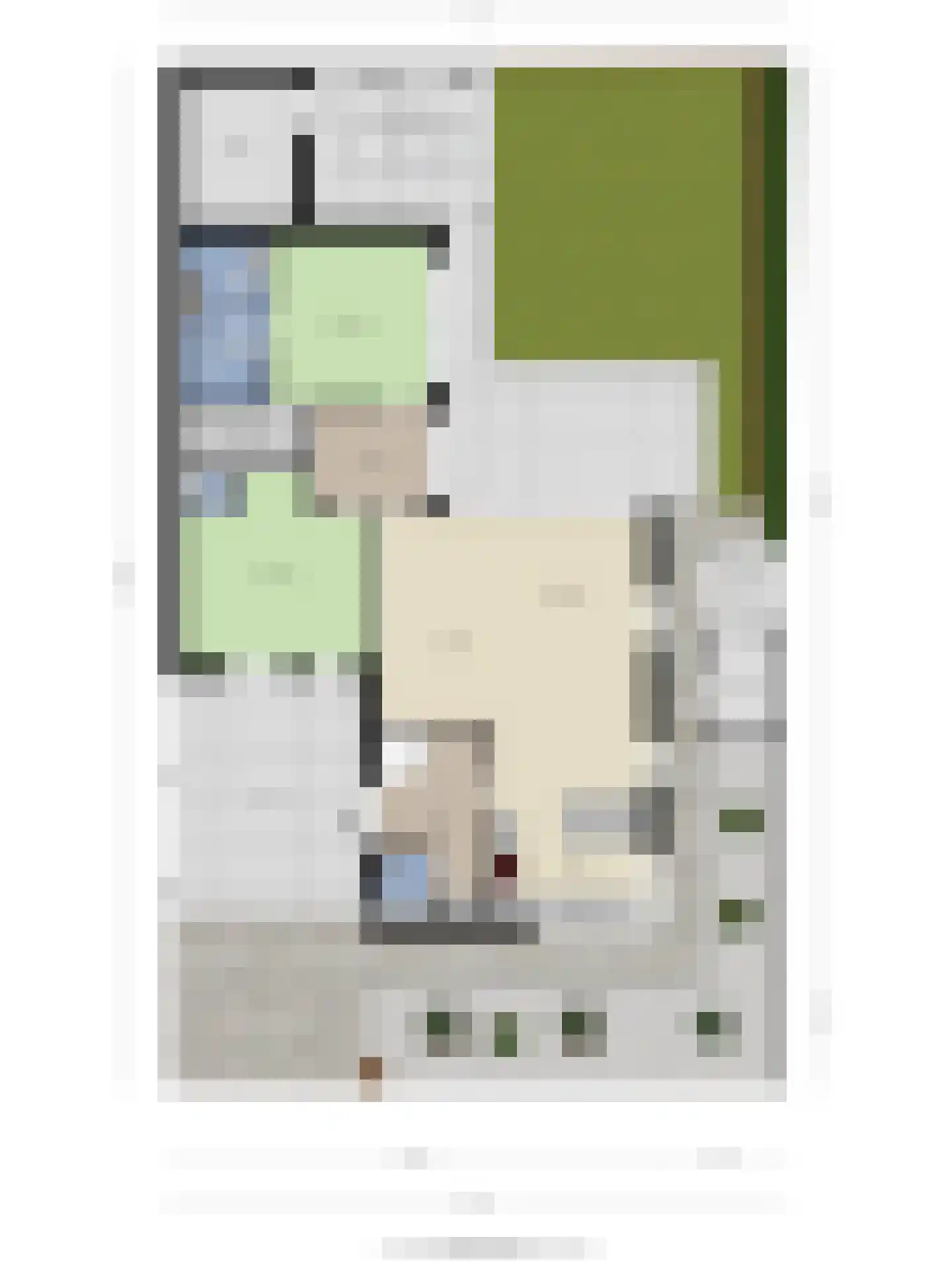 Lemoenappel 7 Lith thumbnail 53