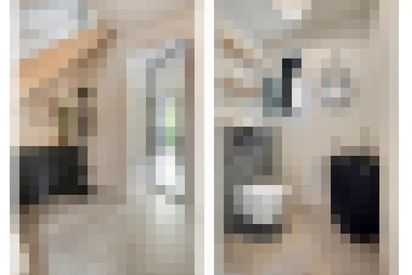 Lemoenappel 7 Lith thumbnail 8