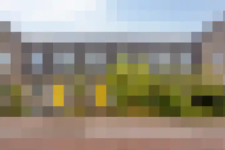 Lemoenappel 8 Lith