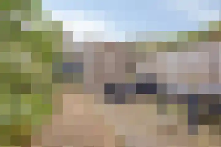 Lemoenappel 8 Lith thumbnail 28