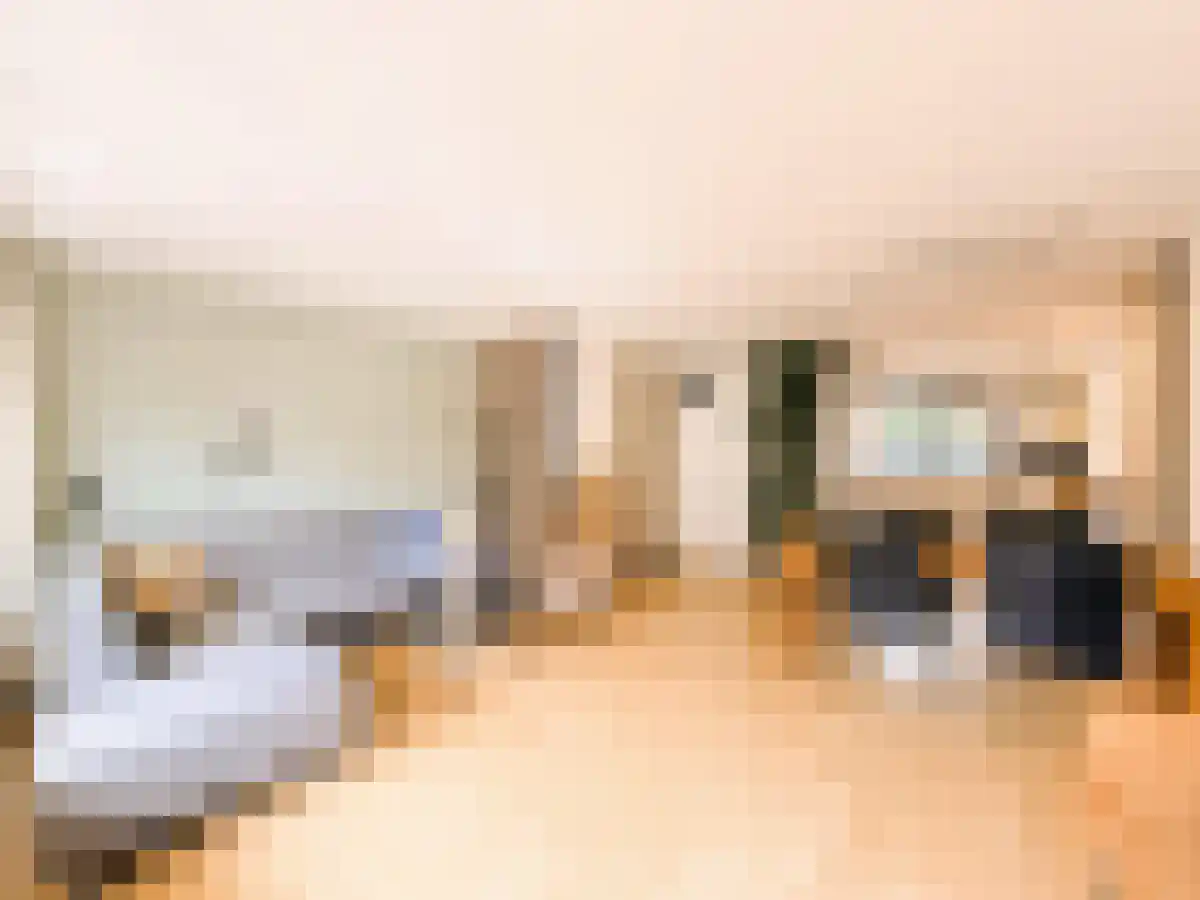 Lemoenpad 5 Amsterdam thumbnail 6