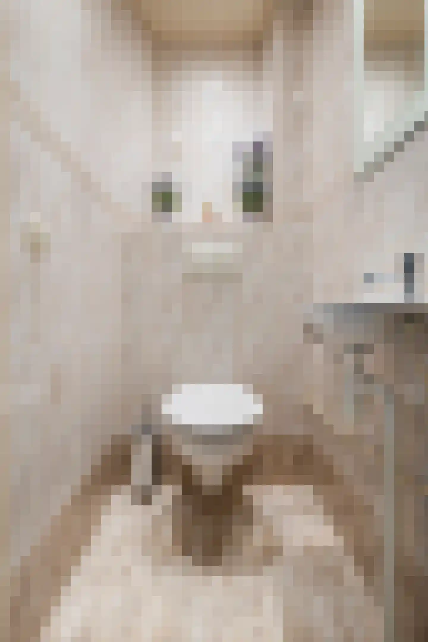 Lemoenpad 6 Amsterdam thumbnail 11