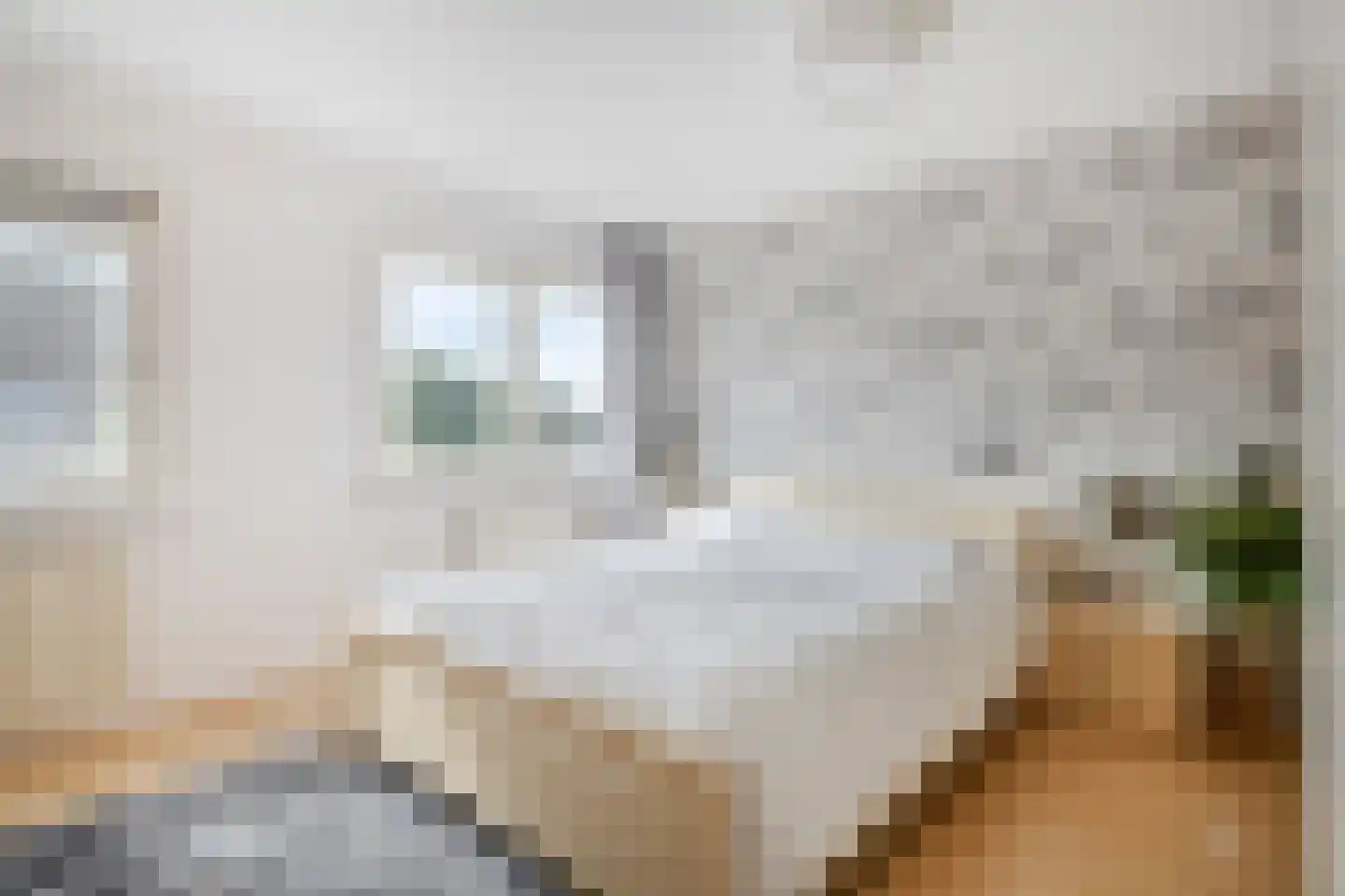 Lemoenpad 6 Amsterdam thumbnail 22