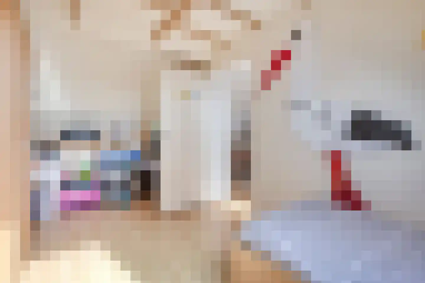 Lemoenpad 6 Amsterdam thumbnail 31