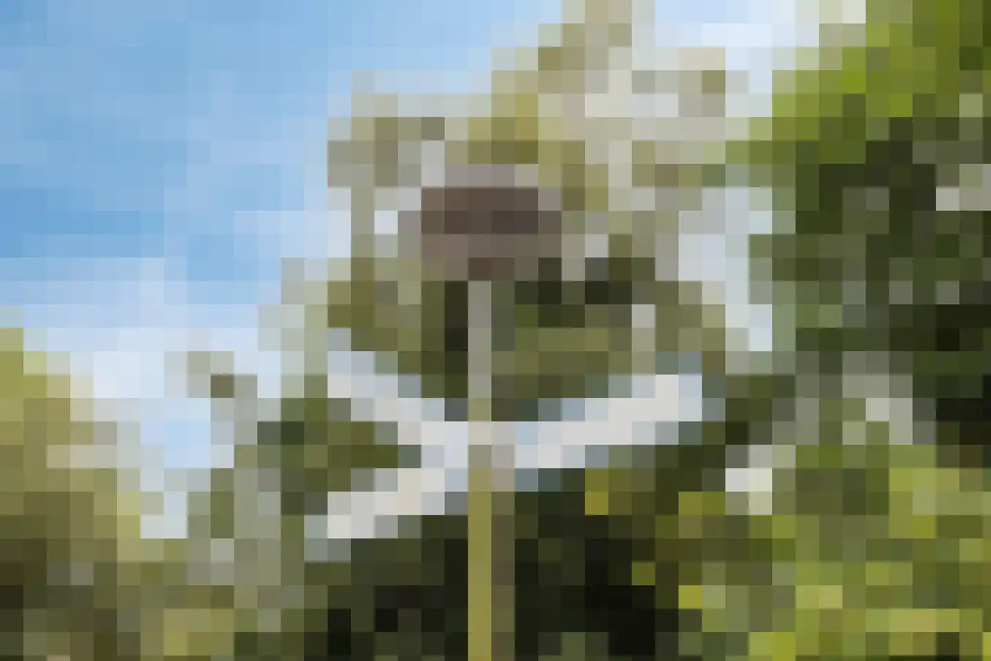 Lemoenpad 6 Amsterdam thumbnail 39
