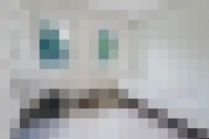 Lemperslaan 12 Landgraaf thumbnail 19