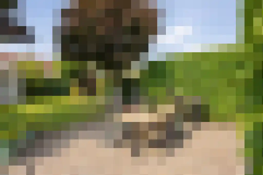 Lempersstraat 18 Kerkrade thumbnail 28