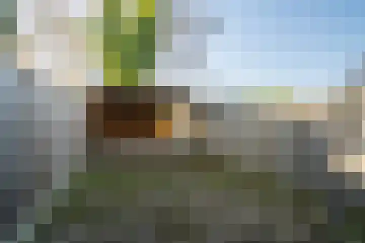 Lemselobrink 13 Enschede thumbnail 22