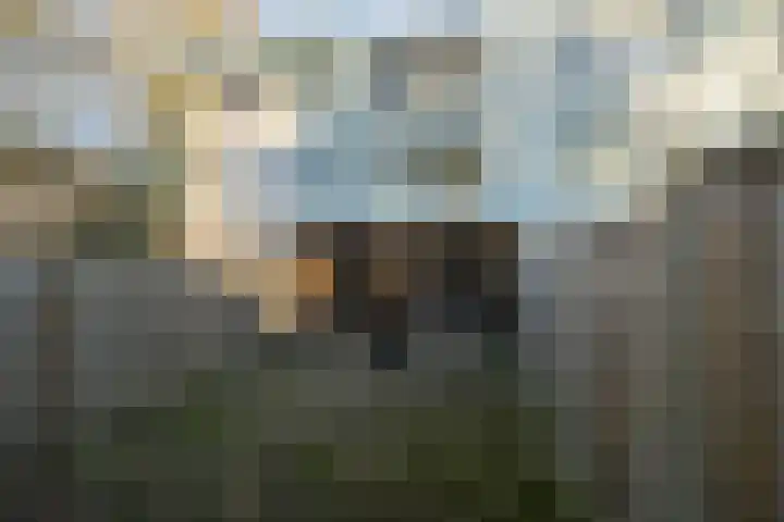Lemselobrink 13 Enschede thumbnail 24