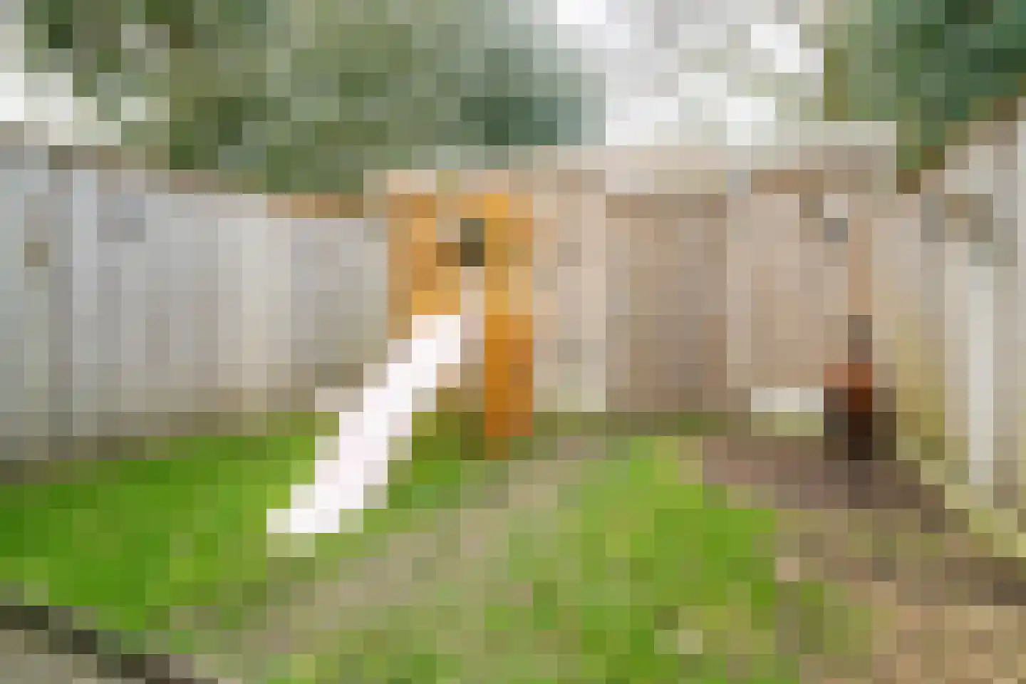 Lemselobrink 17 Enschede thumbnail 28