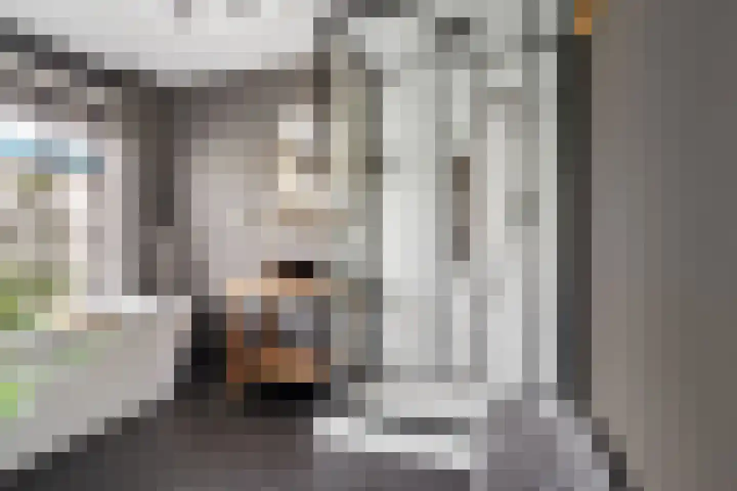 Lemselobrink 17 Enschede thumbnail 4