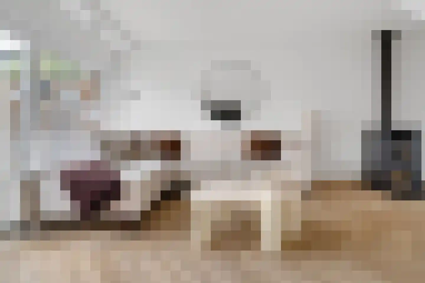 Lemselobrink 17 Enschede thumbnail 6