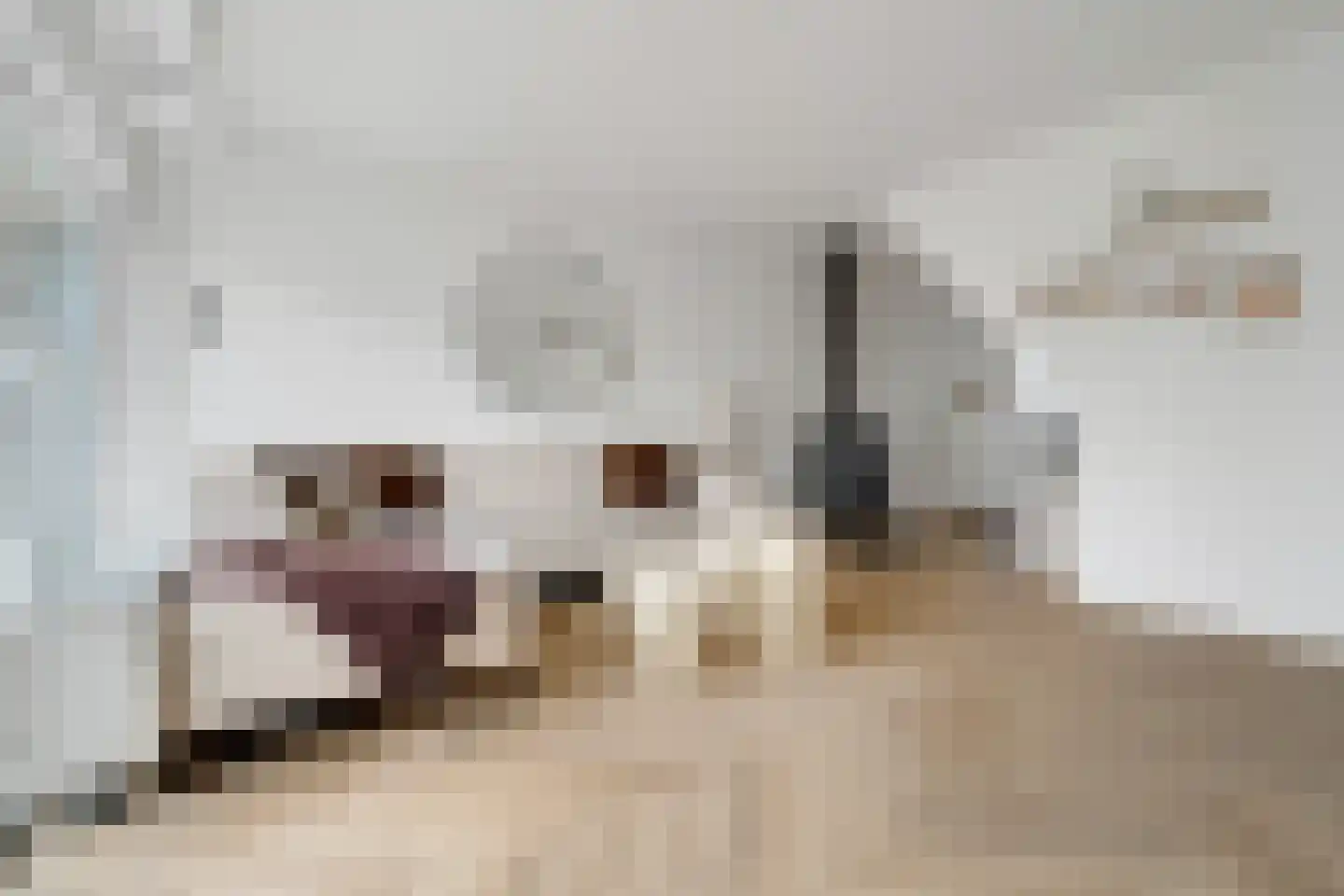 Lemselobrink 17 Enschede thumbnail 8