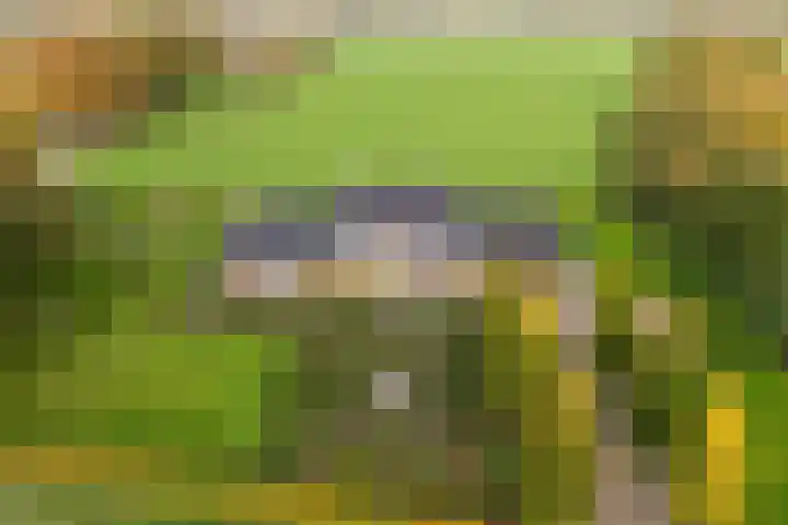 Lemselosestraat 25 in Weerselo