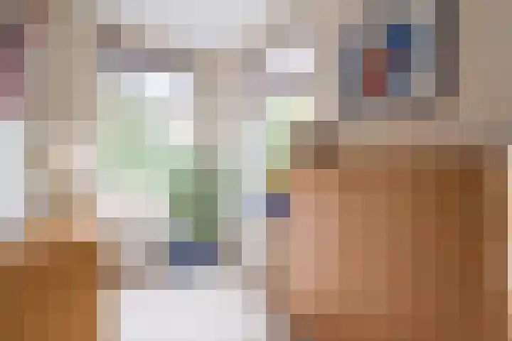 Lemselosestraat 25 Weerselo thumbnail 10