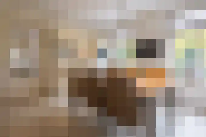 Lemselosestraat 25 Weerselo thumbnail 11