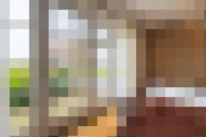 Lemselosestraat 25 Weerselo thumbnail 16