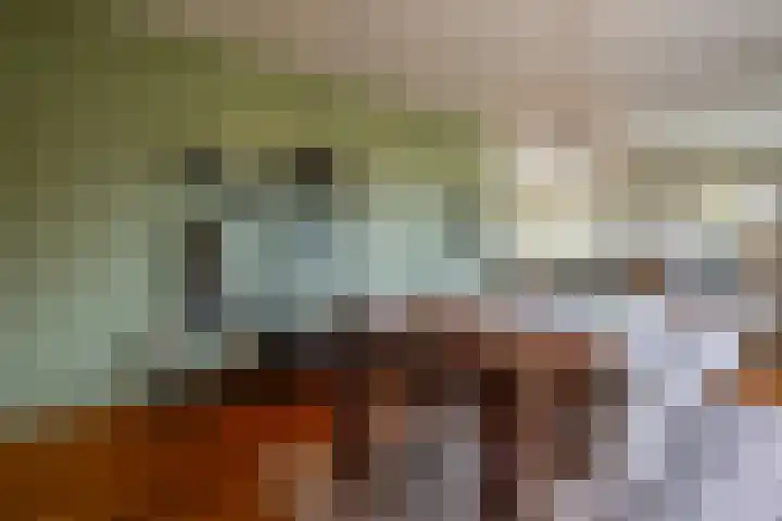 Lemselosestraat 25 Weerselo thumbnail 17