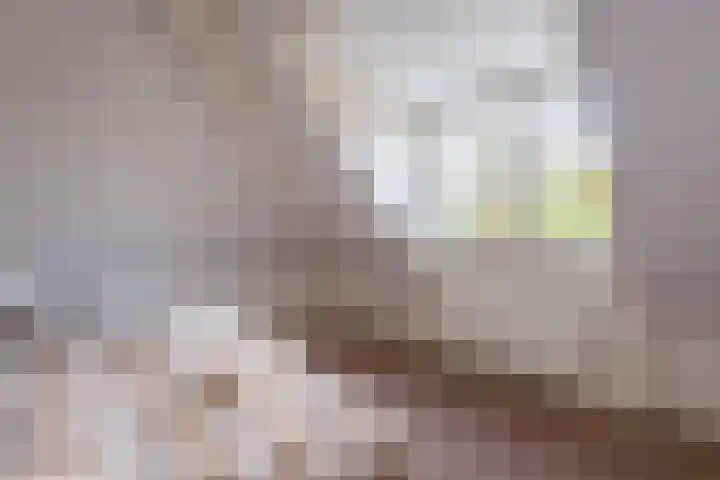 Lemselosestraat 25 Weerselo thumbnail 30
