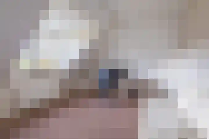 Lemselosestraat 25 Weerselo thumbnail 32