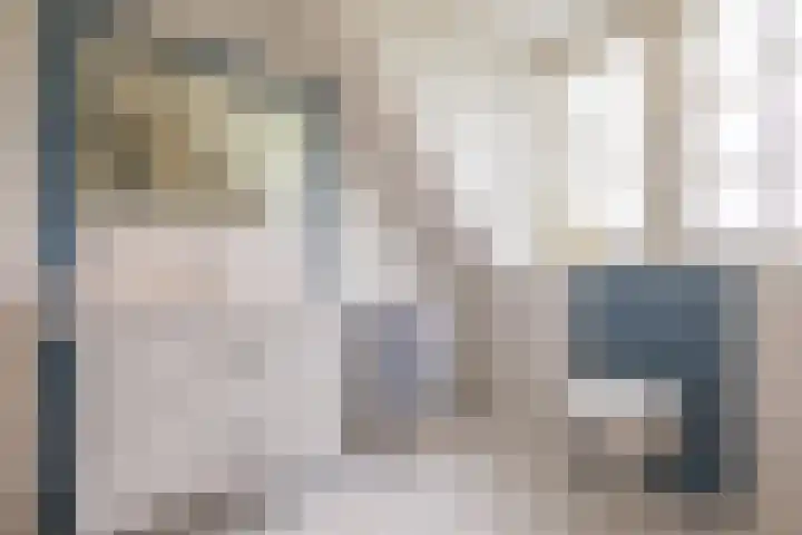 Lemselosestraat 25 Weerselo thumbnail 33
