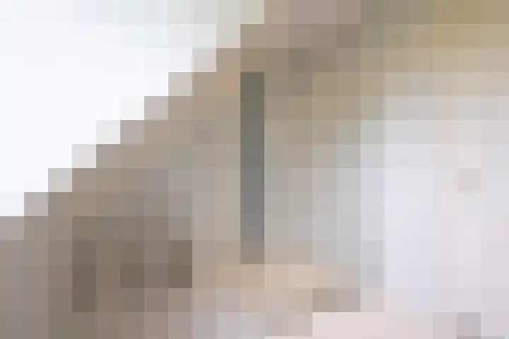 Lemselosestraat 25 Weerselo thumbnail 34
