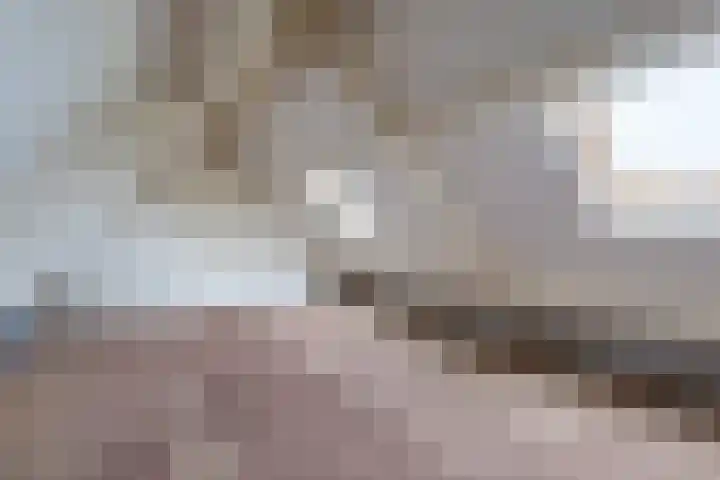 Lemselosestraat 25 Weerselo thumbnail 36