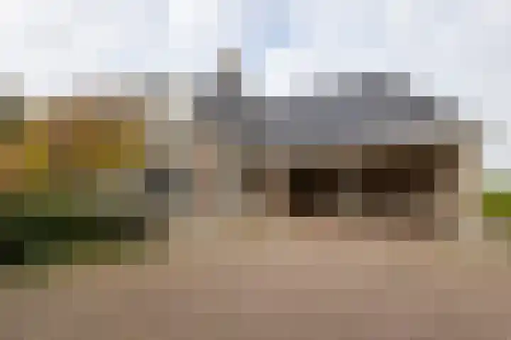 Lemselosestraat 25 Weerselo thumbnail 37