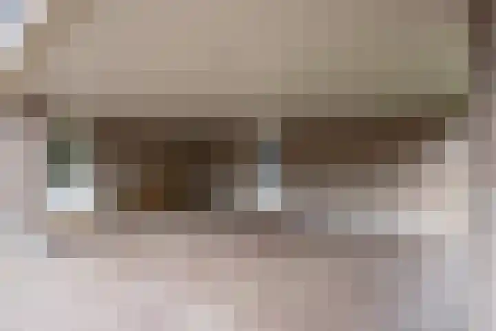 Lemselosestraat 25 Weerselo thumbnail 38
