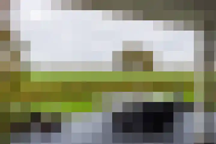Lemselosestraat 25 Weerselo thumbnail 4