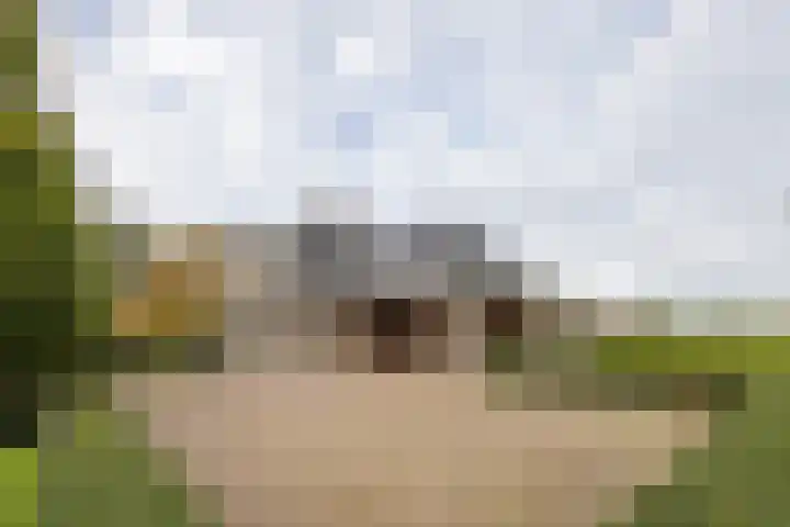 Lemselosestraat 25 Weerselo thumbnail 40