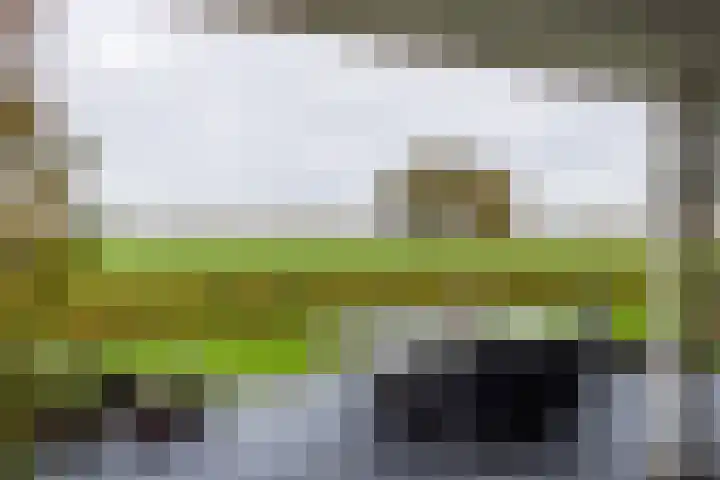 Lemselosestraat 25 Weerselo thumbnail 42