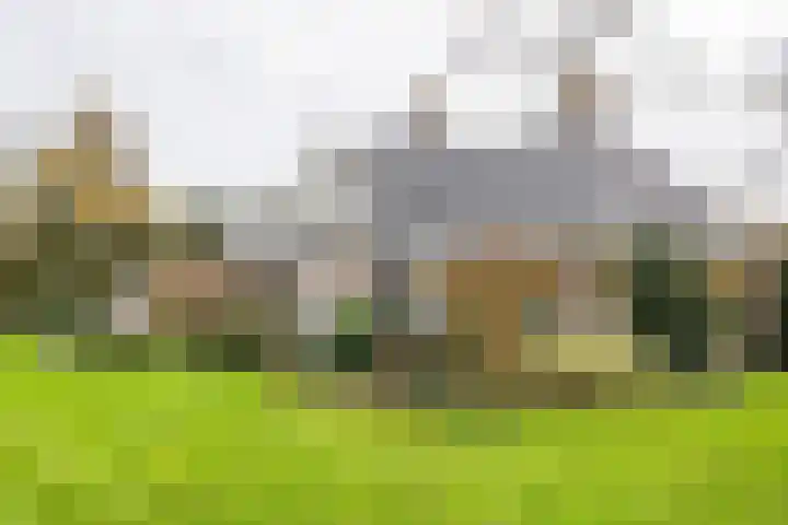 Lemselosestraat 25 Weerselo thumbnail 43