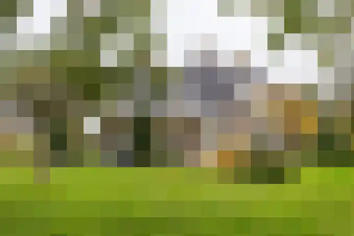 Lemselosestraat 25 Weerselo thumbnail 44